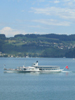 Raddampfer auf dem Zürichsee