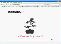 Bonsite Website (2006)